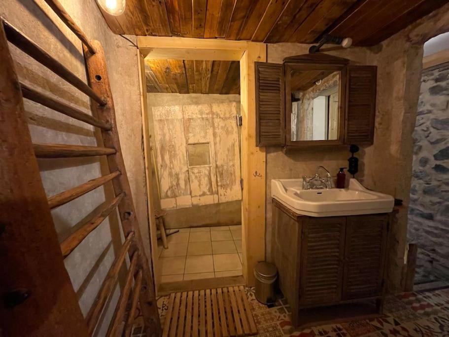 Maison Vigneron - Maison Et Studio Saint-Didier-sur-Beaujeu Zewnętrze zdjęcie